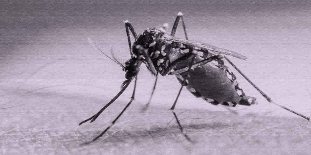 bagaimana-mimika-menangani-malaria-saat-pon